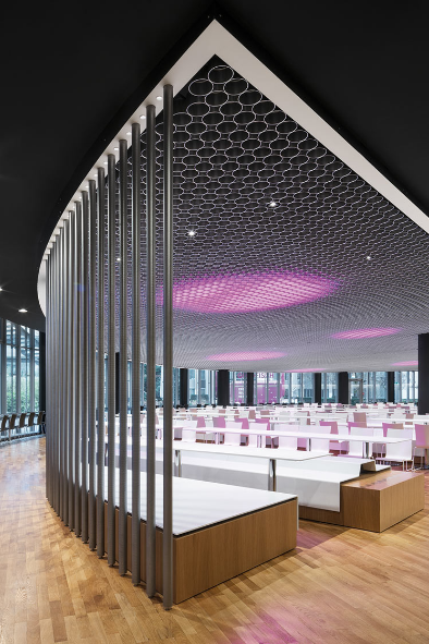 Hasenkopf-Projekt-Beautysalon-Egger-1